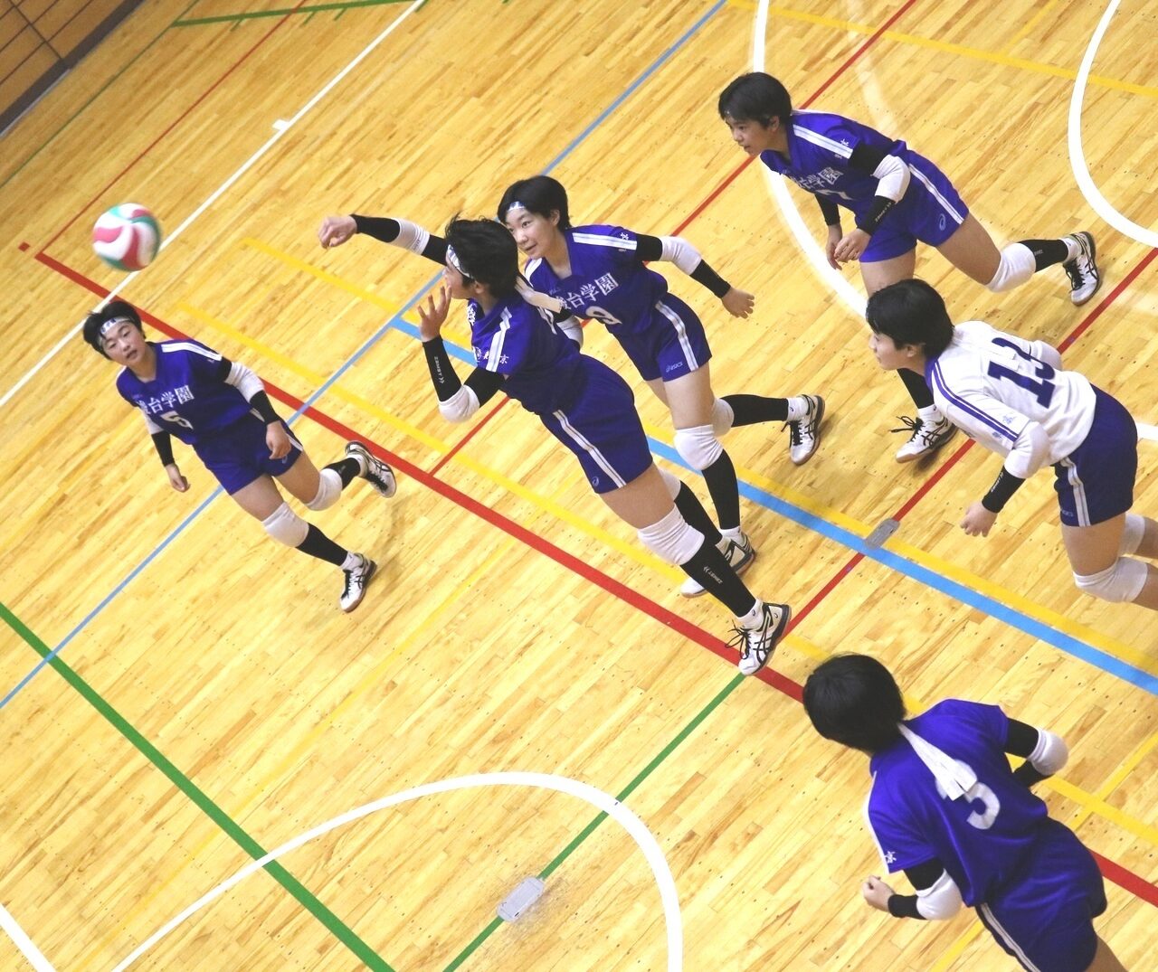 中学 女子バレーボール部
